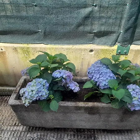 Appartement Kaioa .incluye Parking Privado. *