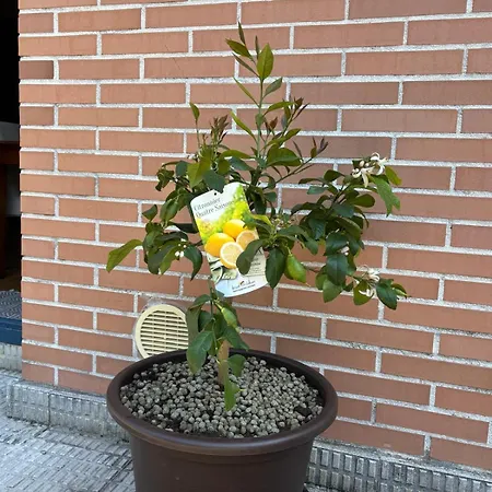 Apartamento Kaioa .incluye Parking Privado. Hondarribia